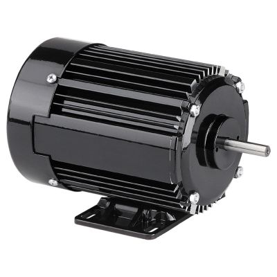 42R Series AC 3-Phase Inverter Duty Motor